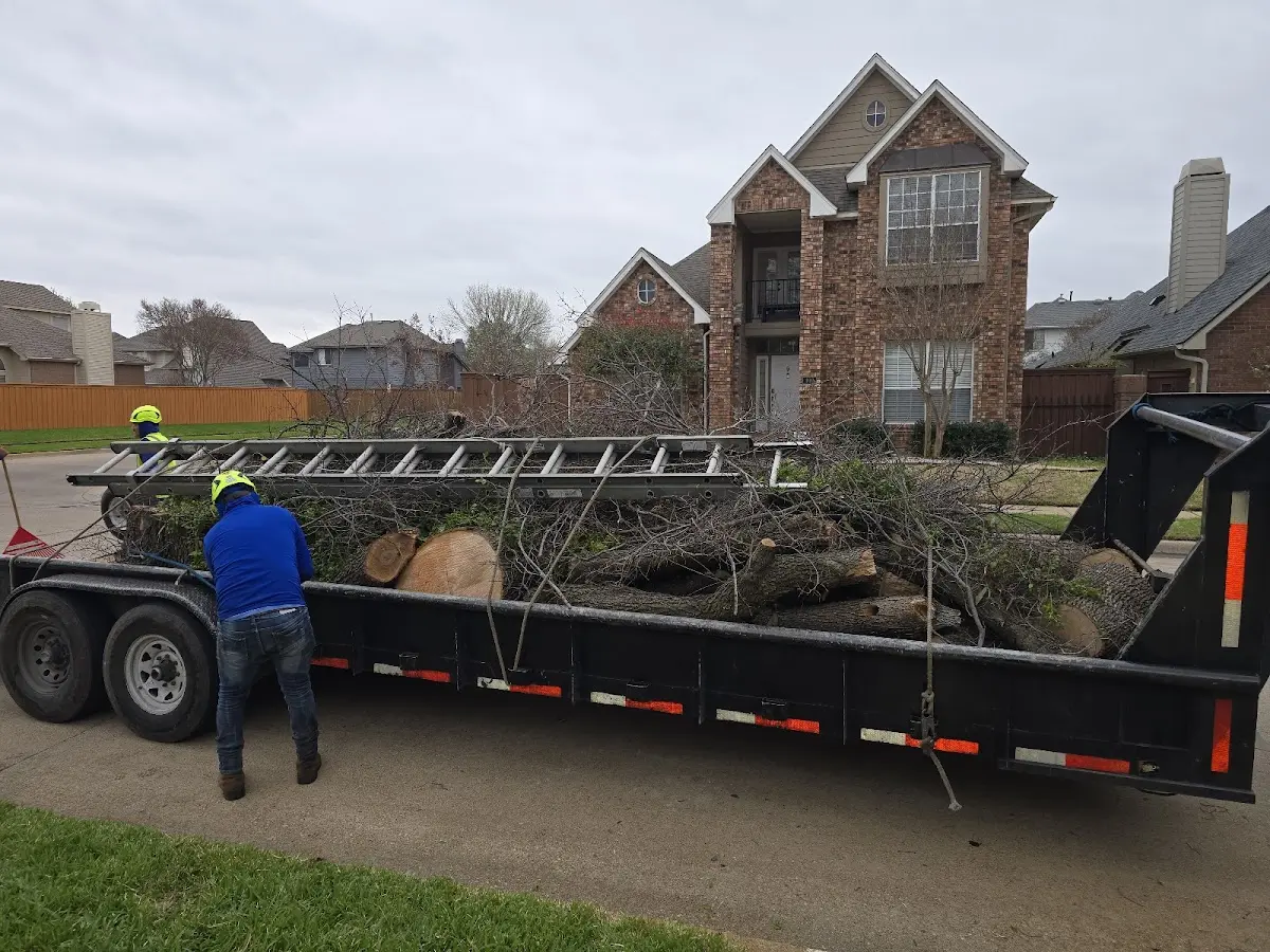 Expert Lot Clearing with proper safety equipment in Capitol